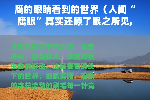 鹰的眼睛看到的世界（人间“鹰眼”真实还原了眼之所见,超越所见）