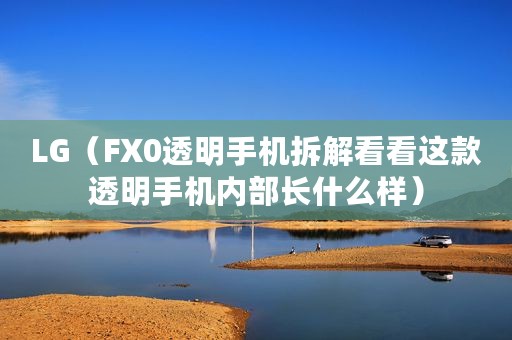 LG（FX0透明手机拆解看看这款透明手机内部长什么样）