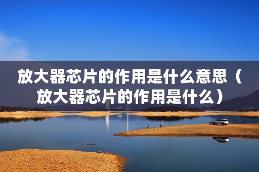 放大器芯片的作用是什么意思（放大器芯片的作用是什么）