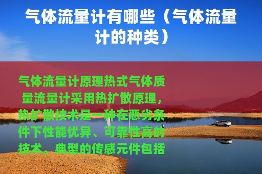 气体流量计有哪些（气体流量计的种类）