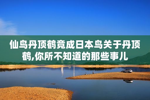 仙鸟丹顶鹤竟成日本鸟关于丹顶鹤,你所不知道的那些事儿