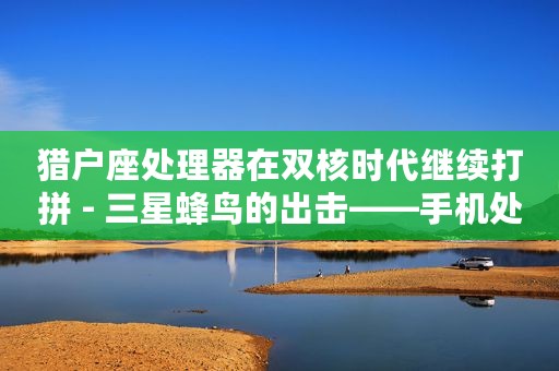 猎户座处理器在双核时代继续打拼 - 三星蜂鸟的出击——手机处理器系列 四