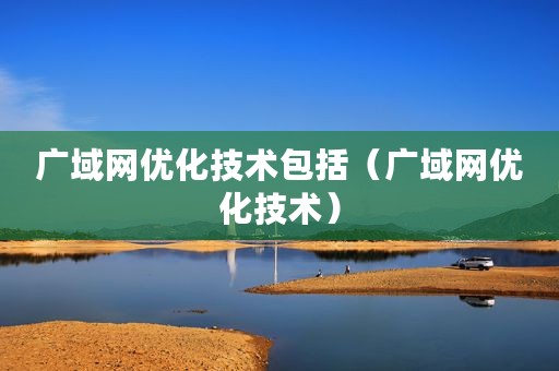 广域网优化技术包括（广域网优化技术）