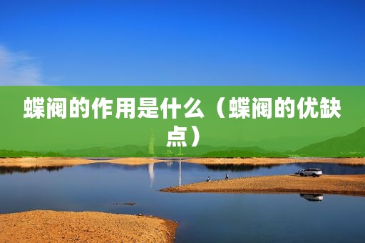 蝶阀的作用是什么（蝶阀的优缺点）