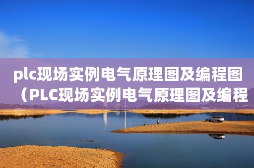 plc现场实例电气原理图及编程图（PLC现场实例电气原理图及编程）