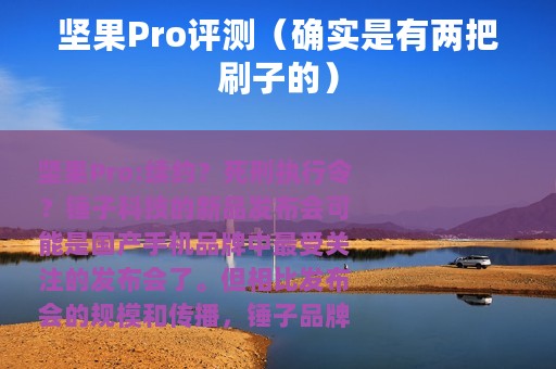 坚果Pro评测（确实是有两把刷子的）