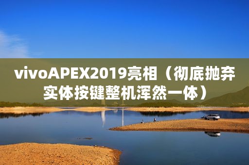 vivoAPEX2019亮相（彻底抛弃实体按键整机浑然一体）