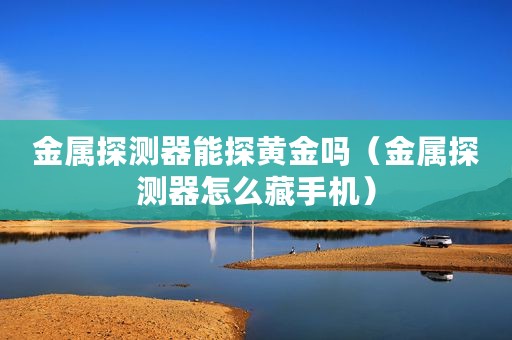 金属探测器能探黄金吗（金属探测器怎么藏手机）