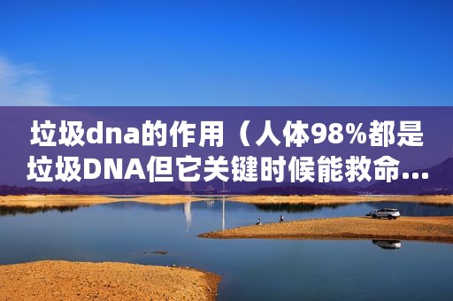 垃圾dna的作用（人体98%都是垃圾DNA但它关键时候能救命……）