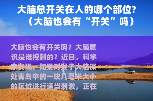 大脑总开关在人的哪个部位?（大脑也会有“开关”吗）