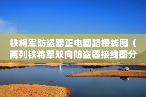 铁将军防盗器正电回路接线图（两列铁将军双向防盗器接线图分享）