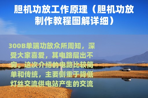 胆机功放工作原理（胆机功放制作教程图解详细）