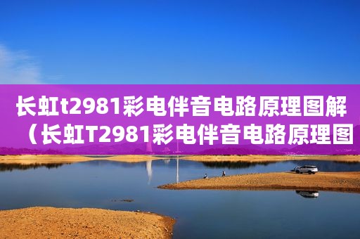 长虹t2981彩电伴音电路原理图解（长虹T2981彩电伴音电路原理图）
