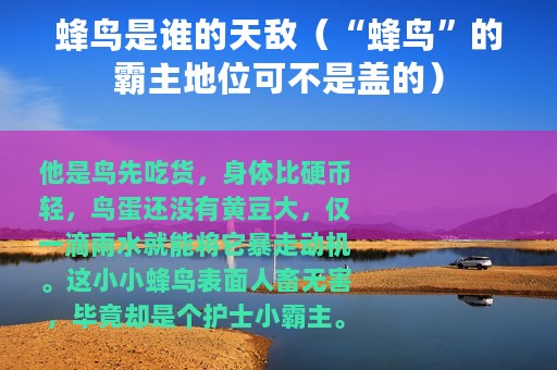 蜂鸟是谁的天敌（“蜂鸟”的霸主地位可不是盖的）
