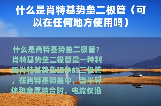 什么是肖特基势垒二极管（可以在任何地方使用吗）