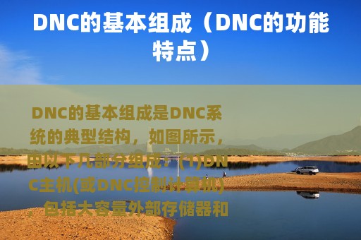 DNC的基本组成（DNC的功能特点）
