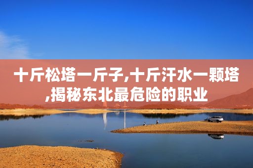 十斤松塔一斤子,十斤汗水一颗塔,揭秘东北最危险的职业