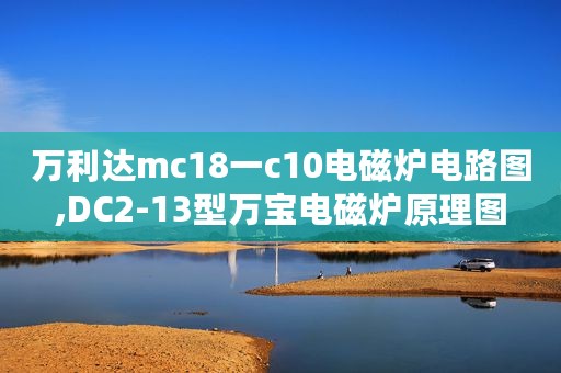 万利达mc18一c10电磁炉电路图,DC2-13型万宝电磁炉原理图