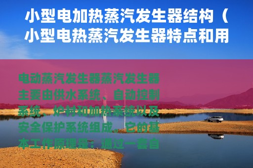 小型电加热蒸汽发生器结构（小型电热蒸汽发生器特点和用途）