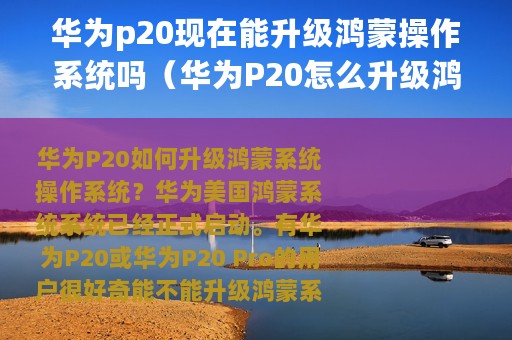 华为p20现在能升级鸿蒙操作系统吗（华为P20怎么升级鸿蒙操作系统）