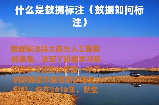 什么是数据标注（数据如何标注）
