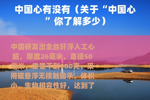中国心有没有（关于“中国心”你了解多少）