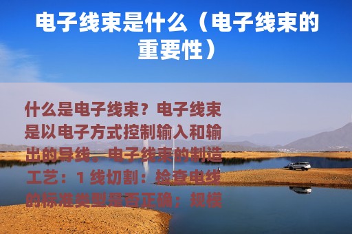 电子线束是什么（电子线束的重要性）