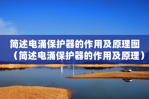 简述电涌保护器的作用及原理图（简述电涌保护器的作用及原理）