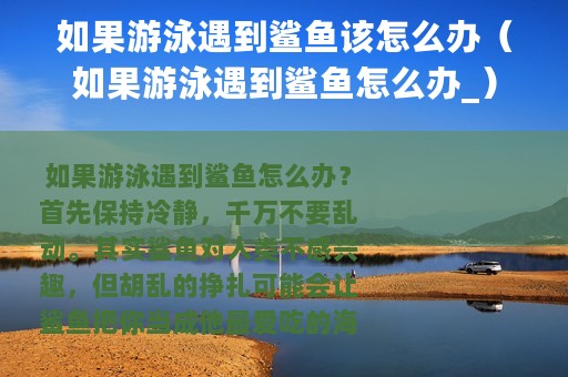 如果游泳遇到鲨鱼该怎么办（如果游泳遇到鲨鱼怎么办_）