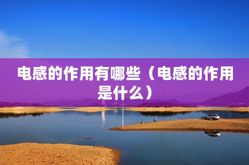 电感的作用有哪些（电感的作用是什么）