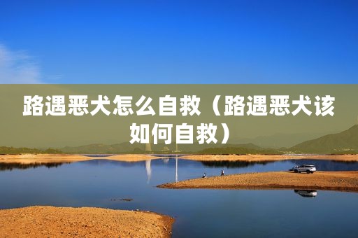 路遇恶犬怎么自救（路遇恶犬该如何自救）