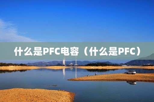 什么是PFC电容（什么是PFC）