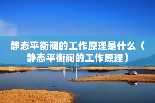 静态平衡阀的工作原理是什么（静态平衡阀的工作原理）