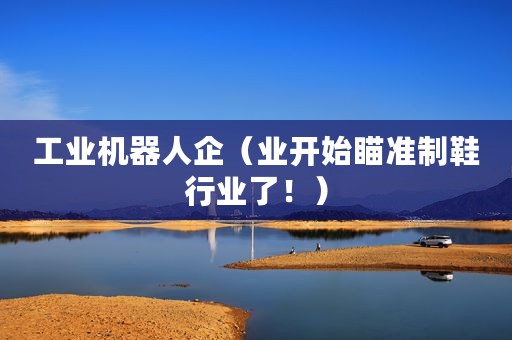 工业机器人企（业开始瞄准制鞋行业了！）