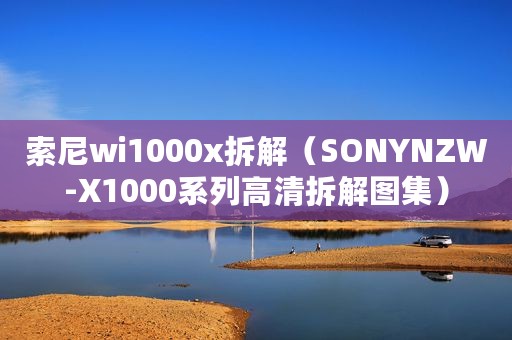 索尼wi1000x拆解（SONYNZW-X1000系列高清拆解图集）