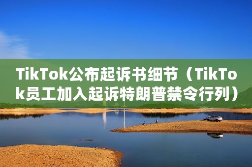 TikTok公布起诉书细节（TikTok员工加入起诉特朗普禁令行列）