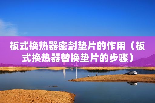 板式换热器密封垫片的作用（板式换热器替换垫片的步骤）