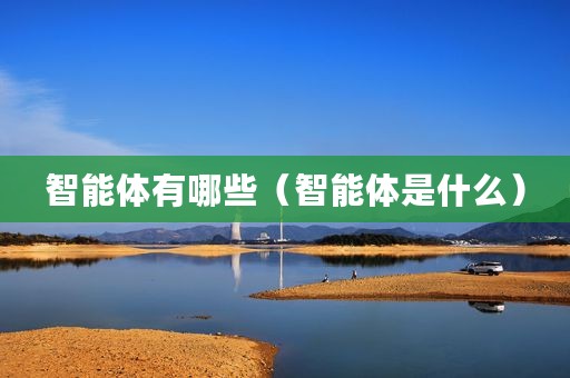 智能体有哪些（智能体是什么）