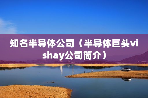 知名半导体公司（半导体巨头vishay公司简介）