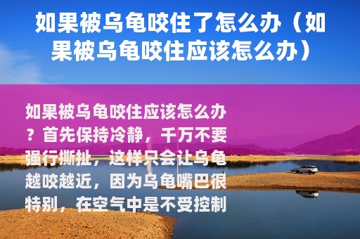 如果被乌龟咬住了怎么办（如果被乌龟咬住应该怎么办）