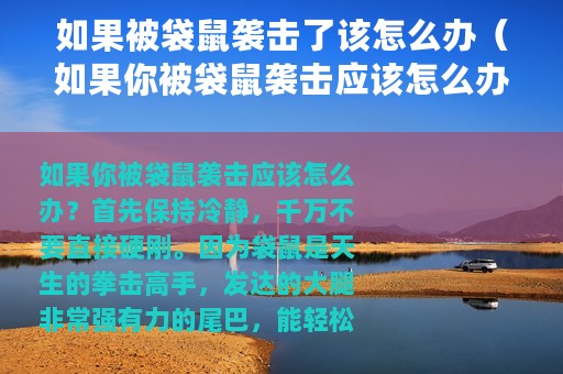 如果被袋鼠袭击了该怎么办（如果你被袋鼠袭击应该怎么办）