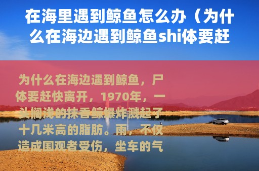 在海里遇到鲸鱼怎么办（为什么在海边遇到鲸鱼shi体要赶快离开）