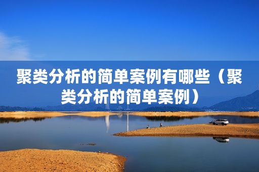 聚类分析的简单案例有哪些（聚类分析的简单案例）