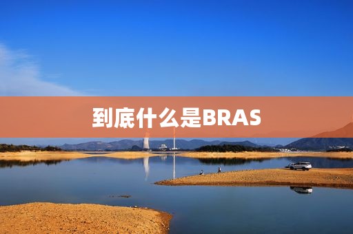 到底什么是BRAS