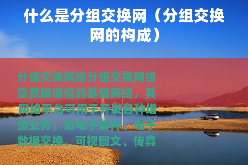 什么是分组交换网（分组交换网的构成）
