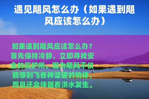 遇见飓风怎么办（如果遇到飓风应该怎么办）