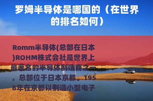 罗姆半导体是哪国的（在世界的排名如何）