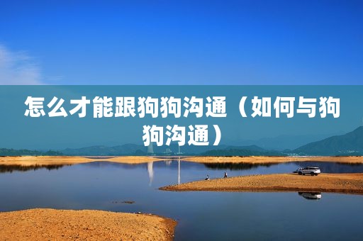 怎么才能跟狗狗沟通（如何与狗狗沟通）