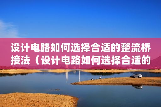 设计电路如何选择合适的整流桥接法（设计电路如何选择合适的整流桥）