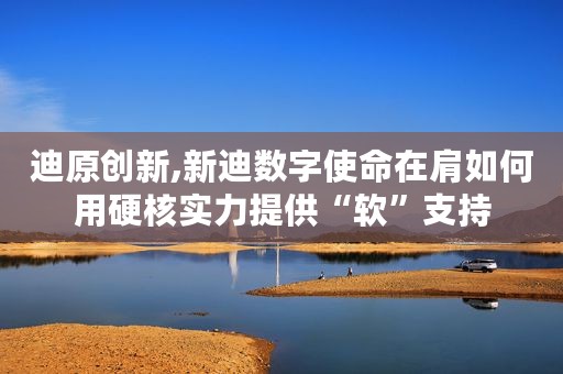迪原创新,新迪数字使命在肩如何用硬核实力提供“软”支持
